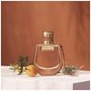 Chloé Nomade Absolu De Parfum edp 30ml