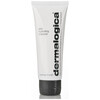 Dermalogica Skin Hydrating Masque 75ml