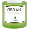 Emir Vibrant Vetiver Delight eau de parfum 100ml