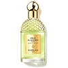 Guerlain Aqua Allegoria Nerolia Vetiver edt 125ml