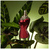 Jean Paul Gaultier La Belle edp 100ml