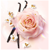 Lancome Idole Nectar edp 100ml