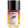 Loewe Fashion Paula's Ibiza Cosmic edp 100ml