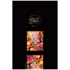 Lorenzo Pazzaglia Sun Gria Extrait de Parfum 50ml (Outlet / Demo, utan lock)