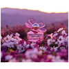 Marc Jacobs Daisy Love Paradise edt 50ml