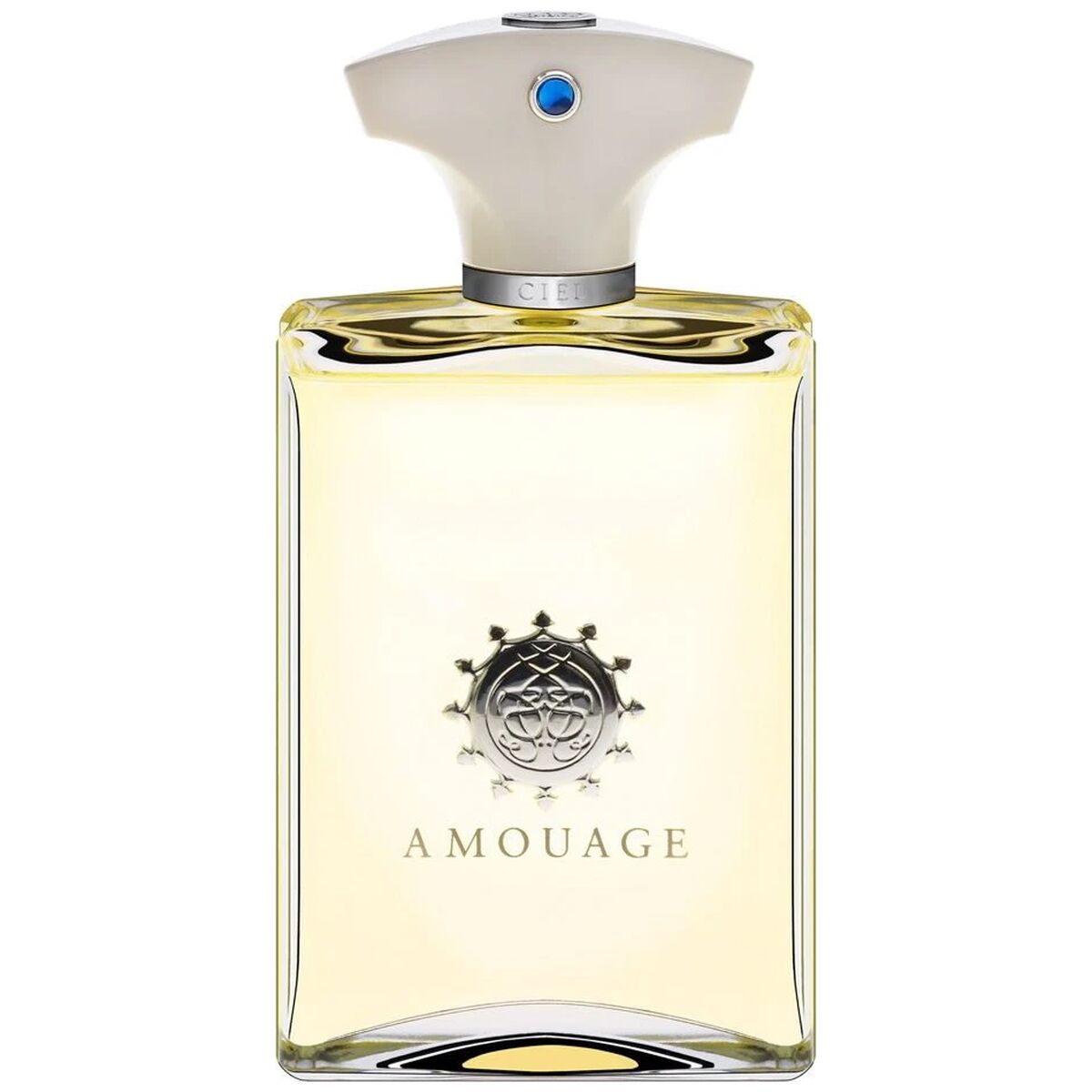 Amouage Dia Men edp 50ml