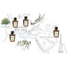 Acqua Di Parma Colonia Quercia edc 100ml