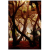 Amouroud Oud Du Jour edp 100ml
