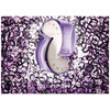 BVLGARI Omnia Amethyste edt 40ml