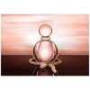 BVLGARI Rose Goldea edp 25ml