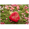 Lolita Lempicka So Sweet edp 50ml