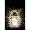 Van Cleef & Arpels California Reverie edp 75ml