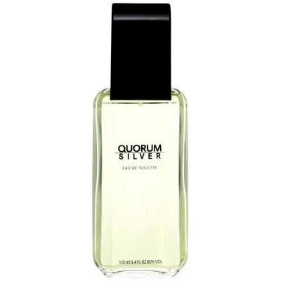 Antonio Puig Quorum Silver edt 100ml