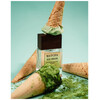 Theodoros Kalotinis Gelato al Matcha Extrait de Parfum 50ml