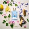 Versace Pour Homme edt 200ml