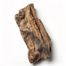 Legno di Agar (Oud)