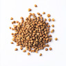 Grano Saraceno