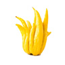Mano di Buddha
