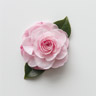 Camelia