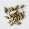 Cardamomo