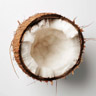 Cocco