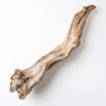 Legno Secco