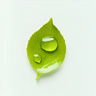 Linfa Verde