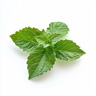 Patchouli (Verde)