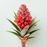 Fior di Ananas
