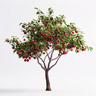 Albero di Prugne