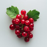 Ribes Rosso